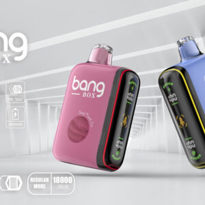 BANGBOX 9000-18000 Puffs Disposable Vape | Type-C Rechargeable | 28ml E-Liquid, 0.8Ω Mesh Coil & 13450-650mAh Cobalt Battery
